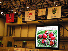 バルドラール浦安ホームゲームでチャリティーシート販売